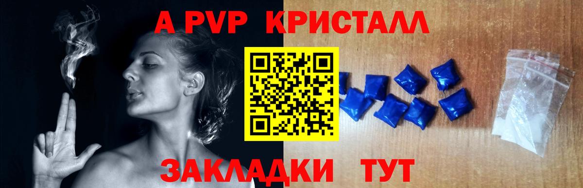 Альфа ПВП крисы CK Балтийск