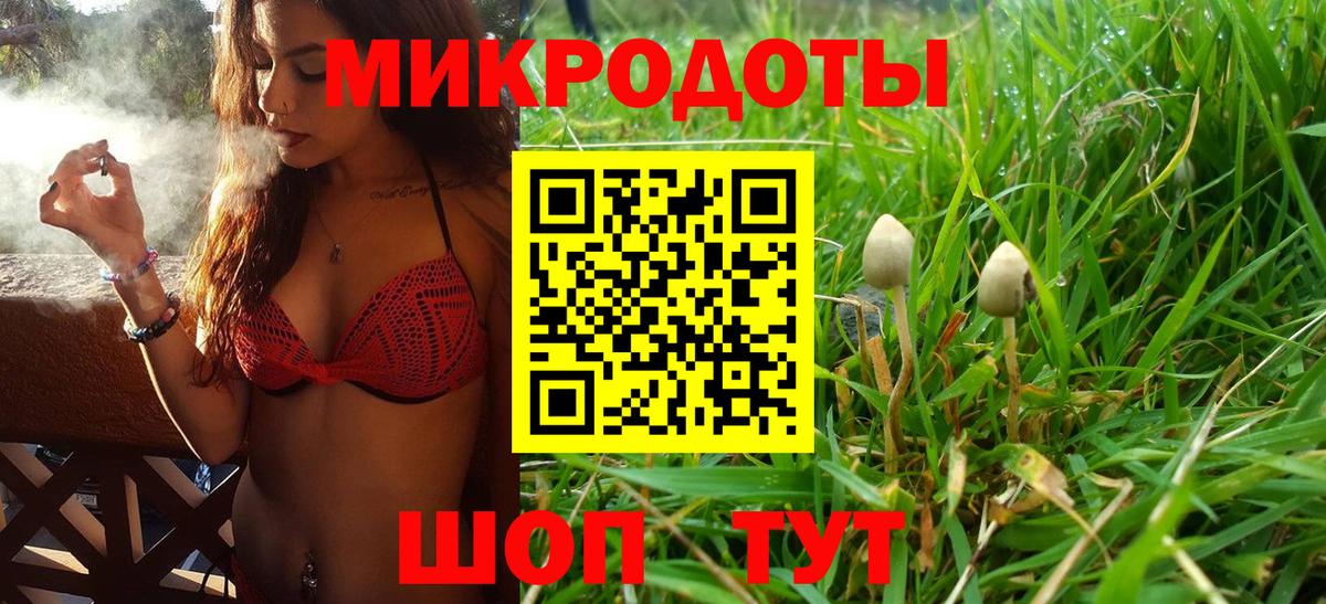 Балтийск  Псилоцибиновые грибы GOLDEN TEACHER  Вход с VPN 
