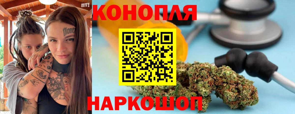 Конопля марихуана Балтийск